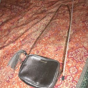 Silver snakeskin purse with gold chain